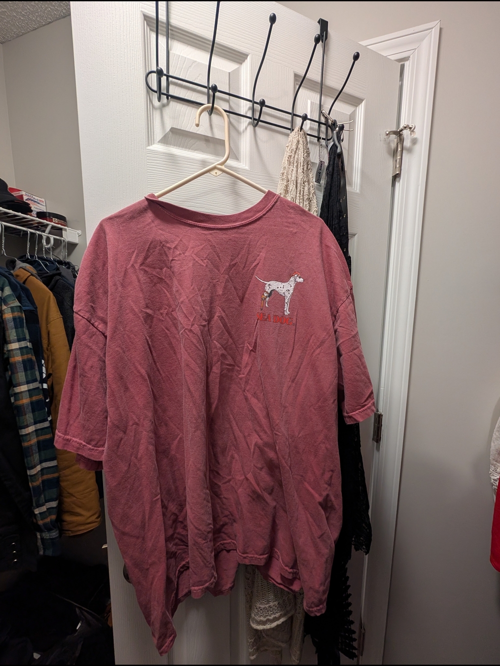 Comfort Colors Mauve Short Sleeve Tee with Dalmatian Graphic